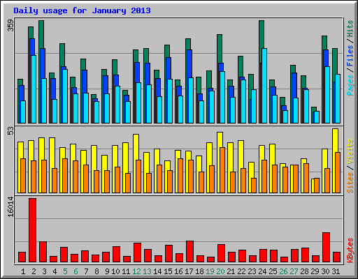 Daily usage for January 2013