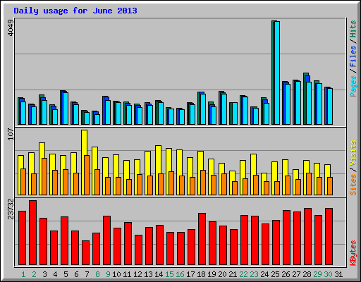 Daily usage for June 2013