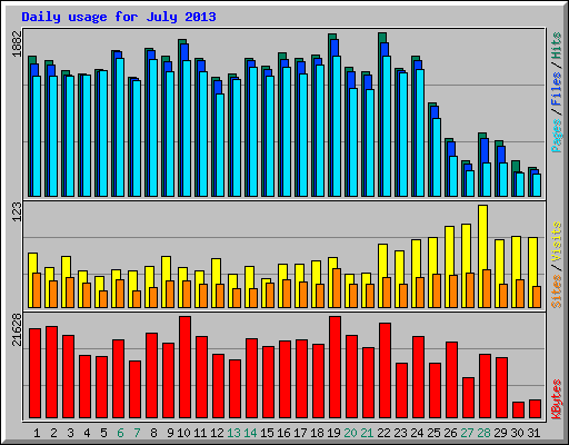 Daily usage for July 2013