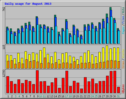 Daily usage for August 2013