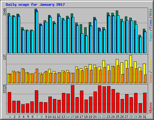 Daily usage for January 2017