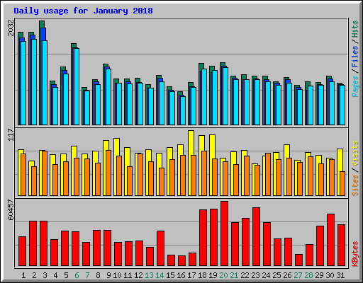 Daily usage for January 2018