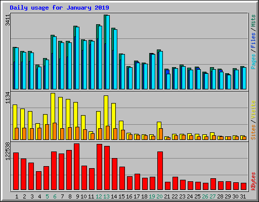 Daily usage for January 2019