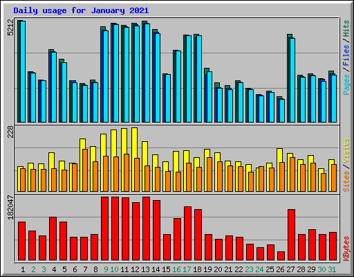 Daily usage for January 2021