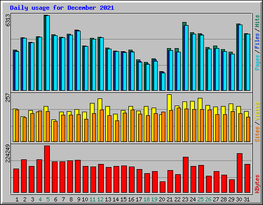 Daily usage for December 2021