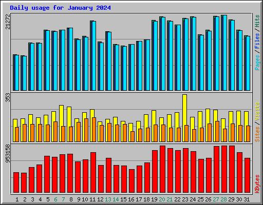 Daily usage for January 2024