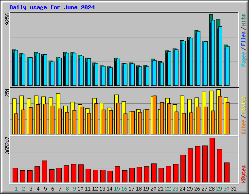 Daily usage for June 2024