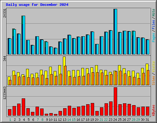 Daily usage for December 2024