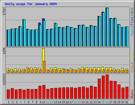 Daily usage for January 2025