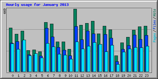 Hourly usage for January 2013