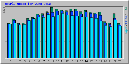 Hourly usage for June 2013