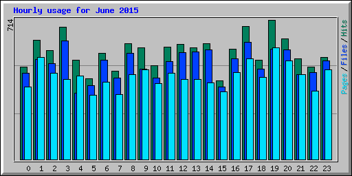 Hourly usage for June 2015