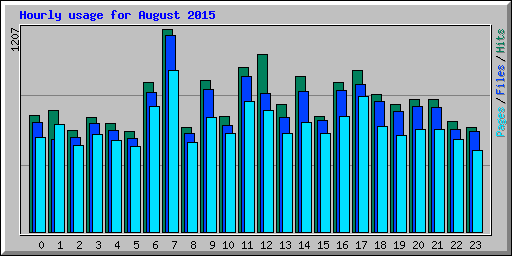 Hourly usage for August 2015