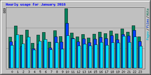 Hourly usage for January 2016