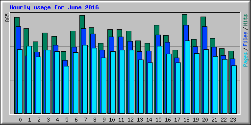 Hourly usage for June 2016