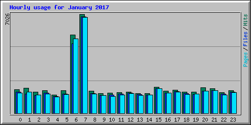 Hourly usage for January 2017