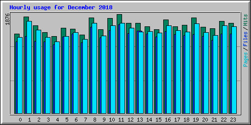 Hourly usage for December 2018