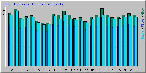 Hourly usage for January 2019