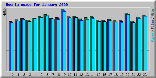 Hourly usage for January 2020