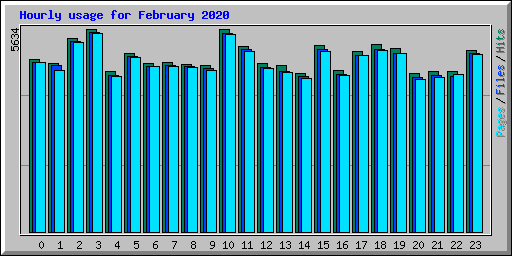 Hourly usage for February 2020