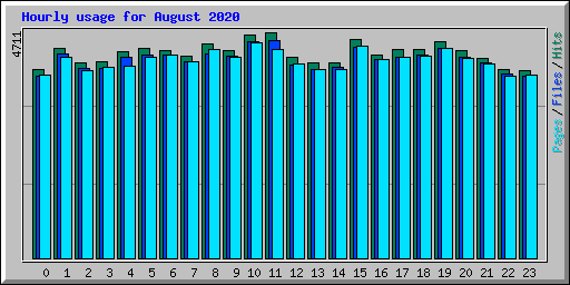 Hourly usage for August 2020