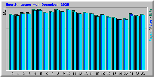 Hourly usage for December 2020