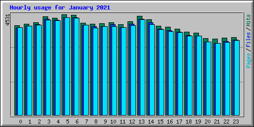 Hourly usage for January 2021