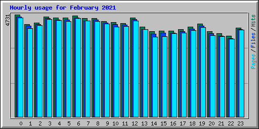 Hourly usage for February 2021