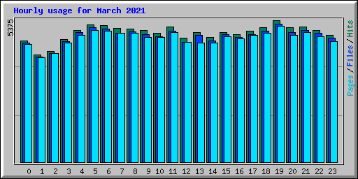 Hourly usage for March 2021