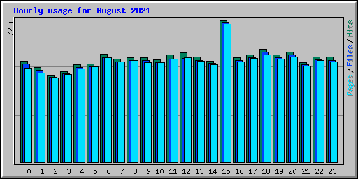 Hourly usage for August 2021