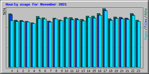 Hourly usage for November 2021