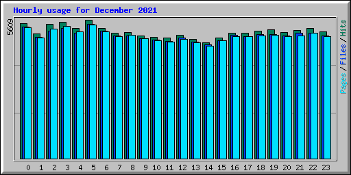 Hourly usage for December 2021