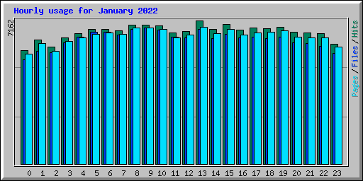 Hourly usage for January 2022