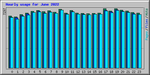 Hourly usage for June 2022