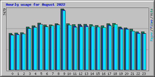 Hourly usage for August 2022