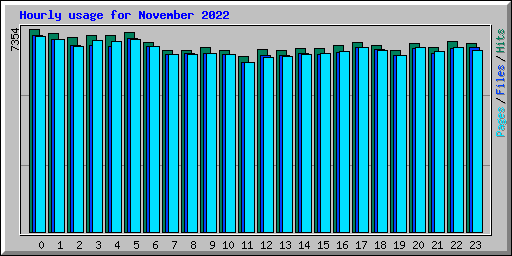 Hourly usage for November 2022