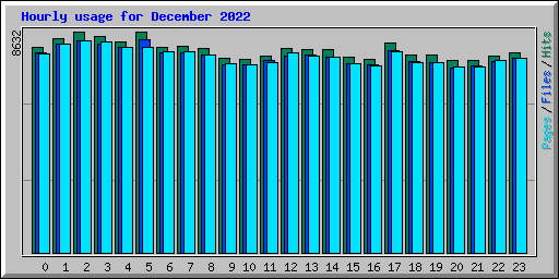 Hourly usage for December 2022