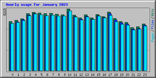 Hourly usage for January 2023