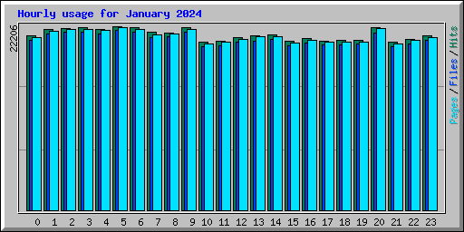 Hourly usage for January 2024