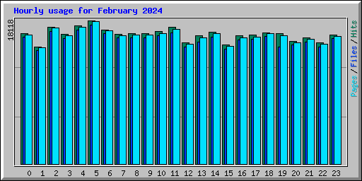 Hourly usage for February 2024