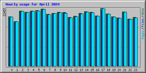 Hourly usage for April 2024