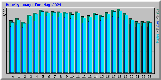 Hourly usage for May 2024