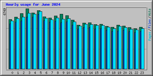 Hourly usage for June 2024