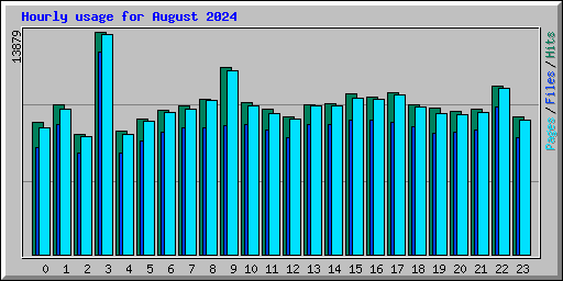 Hourly usage for August 2024