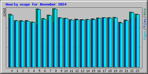 Hourly usage for November 2024