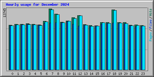Hourly usage for December 2024