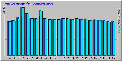 Hourly usage for January 2025
