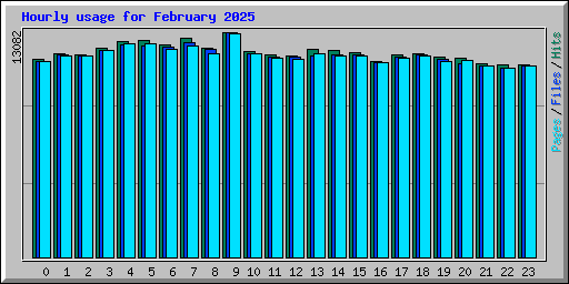 Hourly usage for February 2025