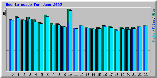 Hourly usage for June 2025