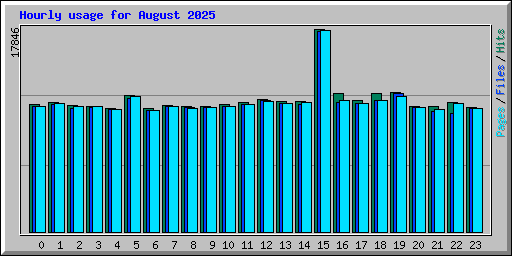 Hourly usage for August 2025